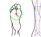 特定の臓腑と内属し表裏関係をも有する十二経脈の一つ足の『少陰腎経』に属する経穴「湧泉」のある風景