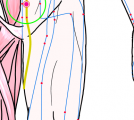 特定の臓腑と内属し表裏関係をも有する十二経脈の一つ足の『少陰腎経』に属する経穴「大赫」のある風景