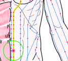 特定の臓腑と内属し表裏関係をも有する十二経脈の一つ足の『少陰腎経』に属する経穴「四満」のある風景