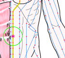 特定の臓腑と内属し表裏関係をも有する十二経脈の一つ足の『少陰腎経』に属する経穴「肓兪」のある風景