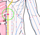 特定の臓腑と内属し表裏関係をも有する十二経脈の一つ足の『少陰腎経』に属する経穴「石関」のある風景