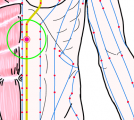 特定の臓腑と内属し表裏関係をも有する十二経脈の一つ足の『少陰腎経』に属する経穴「陰都」のある風景