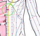 特定の臓腑と内属し表裏関係をも有する十二経脈の一つ足の『少陰腎経』に属する経穴「腹通谷」のある風景