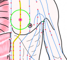 特定の臓腑と内属し表裏関係をも有する十二経脈の一つ足の『少陰腎経』に属する経穴「霊墟」のある風景