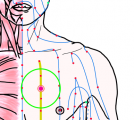 特定の臓腑と内属し表裏関係をも有する十二経脈の一つ足の『少陰腎経』に属する経穴「神蔵」のある風景