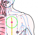 特定の臓腑と内属し表裏関係をも有する十二経脈の一つ足の『少陰腎経』に属する経穴「彧中」のある風景