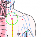 特定の臓腑と内属し表裏関係をも有する十二経脈の一つ足の『少陰腎経』に属する経穴「兪府」のある風景