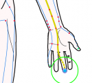 特定の臓腑と内属し表裏関係をも有する十二経脈の一つ手の『厥陰心包経』に属する経穴「中衝」のある風景