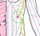 特定の臓腑と内属し表裏関係をも有する十二経脈の一つ足の『少陽胆経』に属する経穴「日月」のある風景