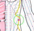 特定の臓腑と内属し表裏関係をも有する十二経脈の一つ足の『少陽胆経』に属する経穴「帯脈」のある風景