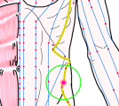 特定の臓腑と内属し表裏関係をも有する十二経脈の一つ足の『少陽胆経』に属する経穴「五枢」のある風景