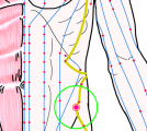 特定の臓腑と内属し表裏関係をも有する十二経脈の一つ足の『少陽胆経』に属する経穴「維道」のある風景