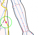 特定の臓腑と内属し表裏関係をも有する十二経脈の一つ足の『少陽胆経』に属する経穴「居髎」のある風景