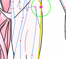 特定の臓腑と内属し表裏関係をも有する十二経脈の一つ足の『少陽胆経』に属する経穴「環跳」のある風景