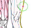 特定の臓腑と内属し表裏関係をも有する十二経脈の一つ足の『少陽胆経』に属する経穴「中瀆」のある風景