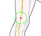 特定の臓腑と内属し表裏関係をも有する十二経脈の一つ足の『少陽胆経』に属する経穴「足陽関」のある風景
