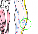 特定の臓腑と内属し表裏関係をも有する十二経脈の一つ足の『少陽胆経』に属する経穴「外丘」のある風景
