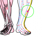 特定の臓腑と内属し表裏関係をも有する十二経脈の一つ足の『少陽胆経』に属する経穴「光明」のある風景