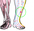 特定の臓腑と内属し表裏関係をも有する十二経脈の一つ足の『少陽胆経』に属する経穴「陽輔」のある風景