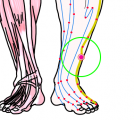 特定の臓腑と内属し表裏関係をも有する十二経脈の一つ足の『少陽胆経』に属する経穴「懸鐘」のある風景