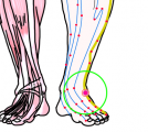 特定の臓腑と内属し表裏関係をも有する十二経脈の一つ足の『少陽胆経』に属する経穴「丘墟」のある風景
