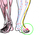 特定の臓腑と内属し表裏関係をも有する十二経脈の一つ足の『少陽胆経』に属する経穴「侠谿」のある風景