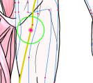 特定の臓腑と内属し表裏関係をも有する十二経脈の一つ足の『厥陰肝経』に属する経穴「足五里」のある風景