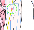 特定の臓腑と内属し表裏関係をも有する十二経脈の一つ足の『厥陰肝経』に属する経穴「陰廉」のある風景