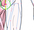 特定の臓腑とは内属せず表裏関係も無い奇経八脈の一つ『任脈』に属する経穴「曲骨」のある風景