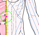 特定の臓腑とは内属せず表裏関係も無い奇経八脈の一つ『任脈』に属する経穴「下脘」のある風景
