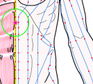 特定の臓腑とは内属せず表裏関係も無い奇経八脈の一つ『任脈』に属する経穴「上脘」のある風景