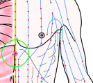 特定の臓腑とは内属せず表裏関係も無い奇経八脈の一つ『任脈』に属する経穴「鳩尾」のある風景