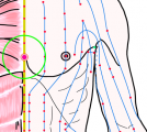 特定の臓腑とは内属せず表裏関係も無い奇経八脈の一つ『任脈』に属する経穴「膻中」のある風景