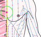 特定の臓腑とは内属せず表裏関係も無い奇経八脈の一つ『任脈』に属する経穴「玉堂」のある風景
