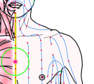 特定の臓腑とは内属せず表裏関係も無い奇経八脈の一つ『任脈』に属する経穴「紫宮」のある風景