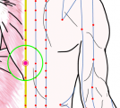 特定の臓腑とは内属せず表裏関係も無い奇経八脈の一つ『督脈』に属する経穴「筋縮」のある風景
