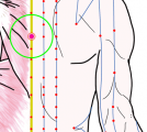 特定の臓腑とは内属せず表裏関係も無い奇経八脈の一つ『督脈』に属する経穴「神道」のある風景