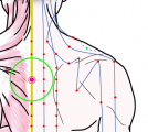 特定の臓腑とは内属せず表裏関係も無い奇経八脈の一つ『督脈』に属する経穴「身柱」のある風景