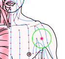 五臓六腑に関係する正経十二経および督脈経・任脈経に属さず単独で存在する「肩内陵」のある風景