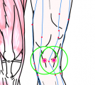 五臓六腑に関係する正経十二経および督脈経・任脈経に属さず単独で存在する「膝眼」のある風景