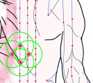 五臓六腑に関係する正経十二経および督脈経・任脈経に属さず単独で存在する「張介賓の四華の穴」のある風景