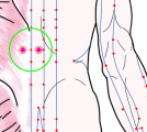 五臓六腑に関係する正経十二経および督脈経・任脈経に属さず単独で存在する「騎竹馬の灸」のある風景