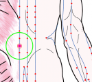 五臓六腑に関係する正経十二経および督脈経・任脈経に属さず単独で存在する「竹杖」のある風景