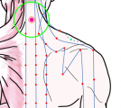 五臓六腑に関係する正経十二経および督脈経・任脈経に属さず単独で存在する「頚百労」のある風景