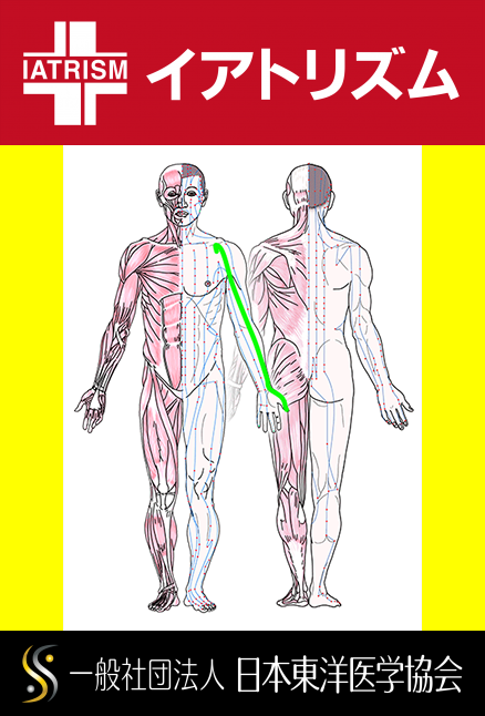 特定の臓腑と内属し表裏関係をも有する十二経脈の一つ手の『太陰肺経』の流れが記された二体の人体立像図