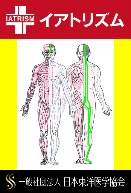 特定の臓腑と内属し表裏関係をも有する十二経脈の一つ足の『太陽膀胱経』の流れが記された二体の人体立像図