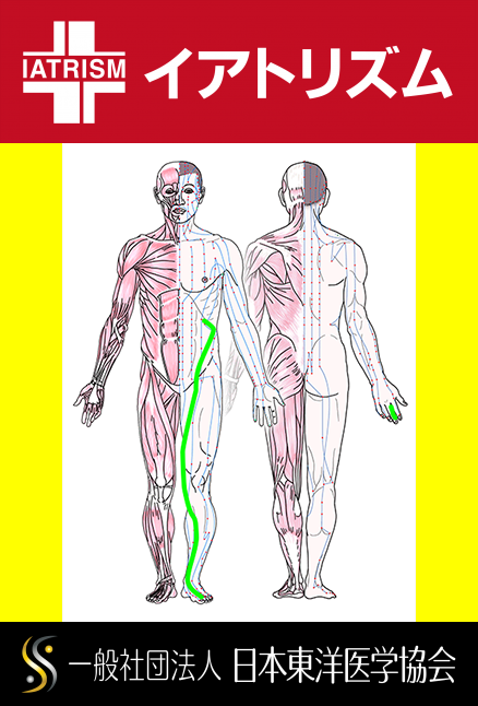 特定の臓腑と内属し表裏関係をも有する十二経脈の一つ足の『厥陰肝経』の流れが記された二体の人体立像図