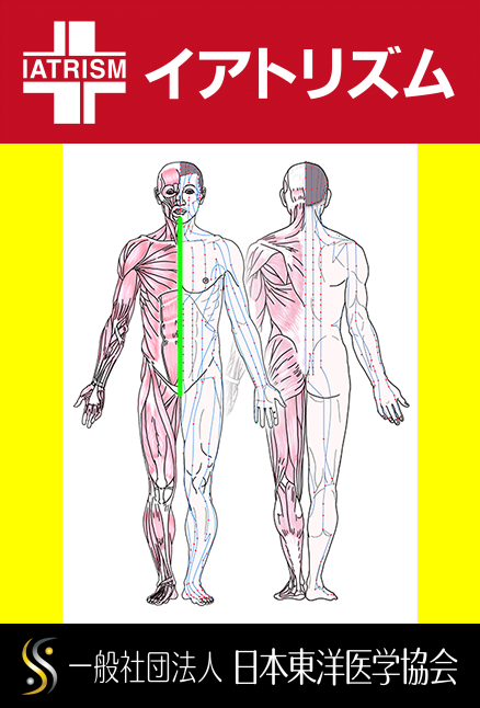特定の臓腑とは内属せず表裏関係も無い奇経八脈の一つ『任脈』の流れが記された二体の片側解剖人体立像の図
