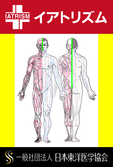 特定の臓腑とは内属せず表裏関係も無い奇経八脈の一つ『督脈』の流れが記された二体の片側解剖人体立像の図