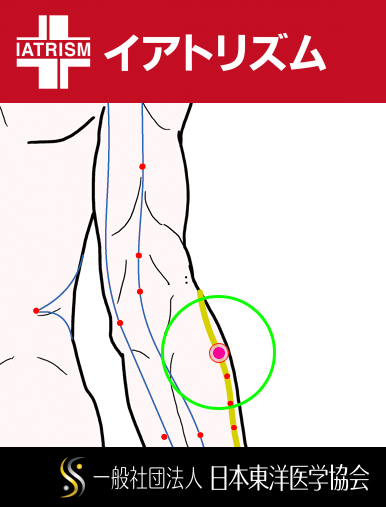 特定の臓腑と内属し表裏関係をも有する十二経脈の一つ手の『陽明大腸経』に属する経穴「手三里」のある風景